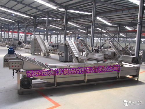 自動(dòng)海帶清洗機(jī) 裙帶菜清洗機(jī)械價(jià)格,產(chǎn)品報(bào)價(jià)