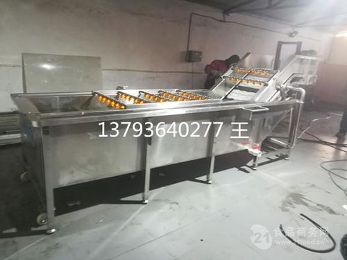 山東果蔬清洗設(shè)備價(jià)格解析與產(chǎn)品報(bào)價(jià)指南