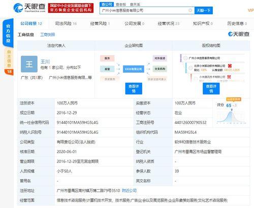 洪鋒卸任廣州小米信息服務法人及經理，計算機信息技術咨詢服務領域引關注